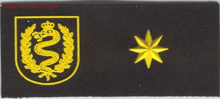 Militaria: PARCHE EMBLEMA DE PECHO DE COMANDANTE BRIGADA CASTILLEJOS.