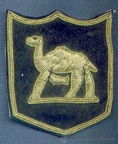 Militaria: India. Insignia de brazo del Ej&eacute;rcito Indio. - Foto 1