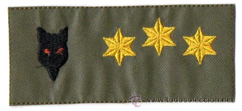Militaria: TIRA DE PECHO DE LA COMPA&Ntilde;IA LOBOS DE LA BRILAT