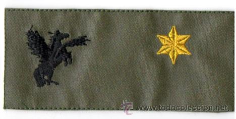 Militaria: TIRA DE PECHO DE LA COMPA&Ntilde;IA PEGASUS DE LA BRILAT