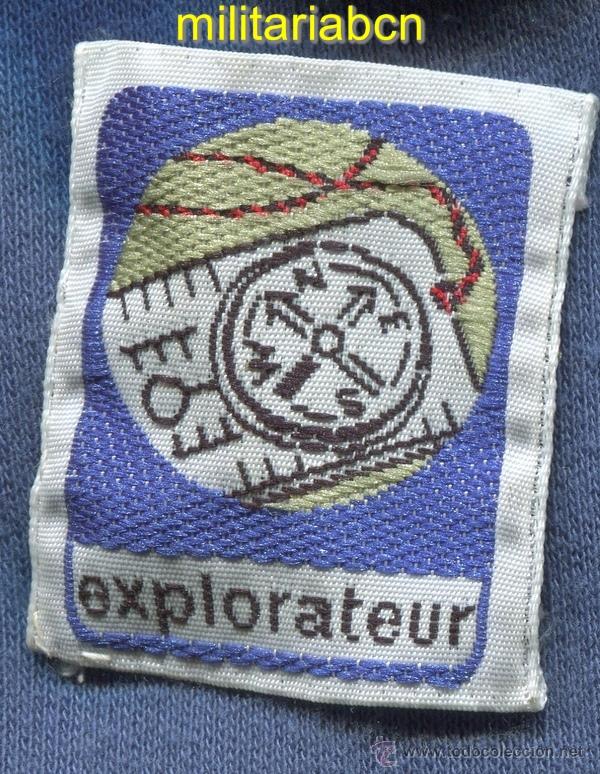 Militaria: Scouts de France. Insignia de tela de los Boy Scouts franceses.
