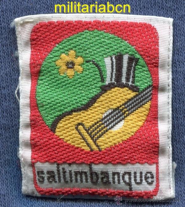 Militaria: Scouts de France. Insignia de tela de los Boy Scouts franceses.