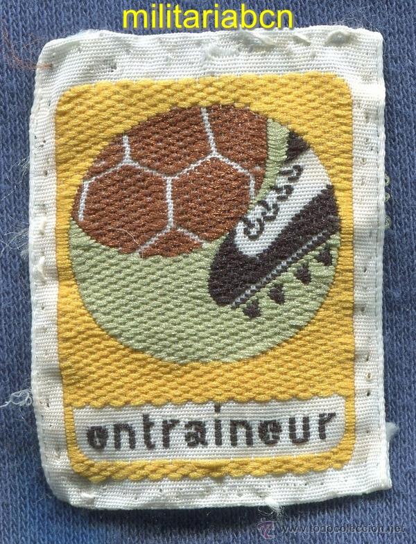 Militaria: Scouts de France. Insignia de tela de los Boy Scouts franceses.