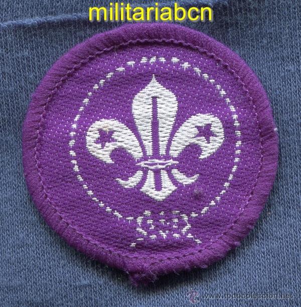 Militaria: Scouts de France. Insignia de tela de los Boy Scouts franceses.