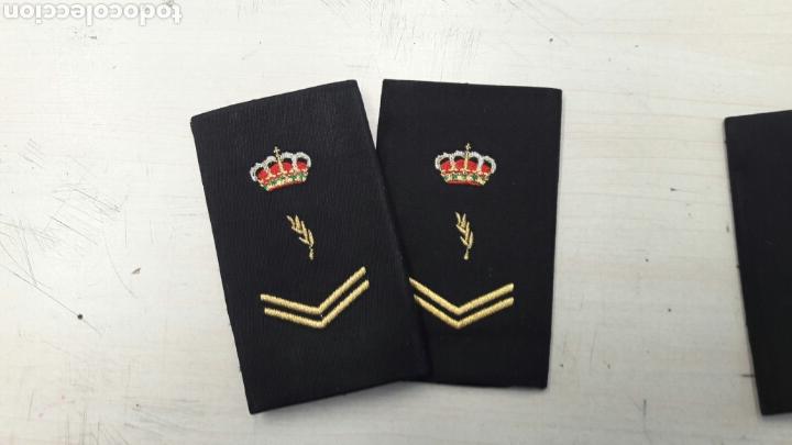 Militaria: Manguitos divisas policia nacional bordado a maquina