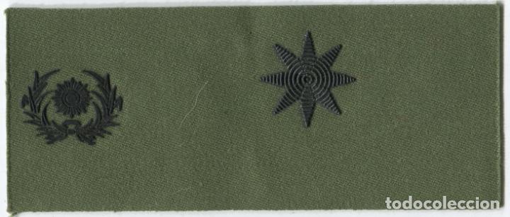 Militaria: Espa&ntilde;a. Divisa o graduaci&oacute;n del Ej&eacute;rcito. Intendencia. Comandante.