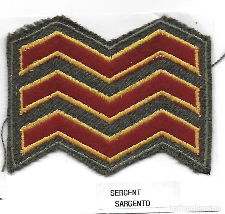 Militaria: parche ejercito de irlanda grado - Foto 1