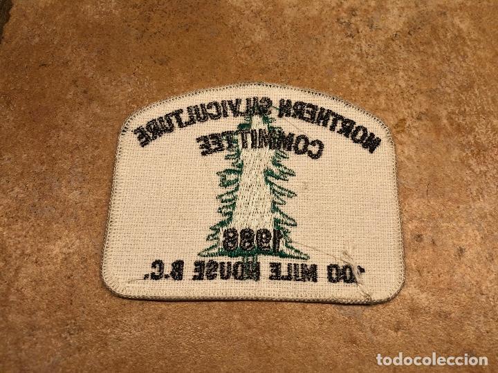 Militaria: PARCHE SILVICULTURE COMITE 1988 - Foto 2