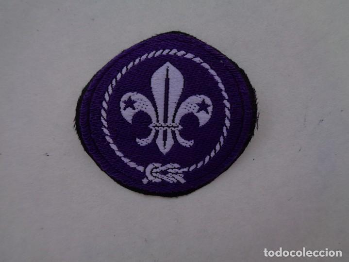 Militaria: PARCHE DE BOYS SCOUTS - FLOR DE LIS - Foto 1