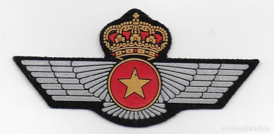 Militaria: parche EJERCITO DEL AIRE ROQUISQUI