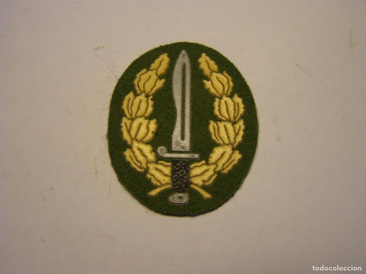 Militaria: Parche de BOINA de las COES.