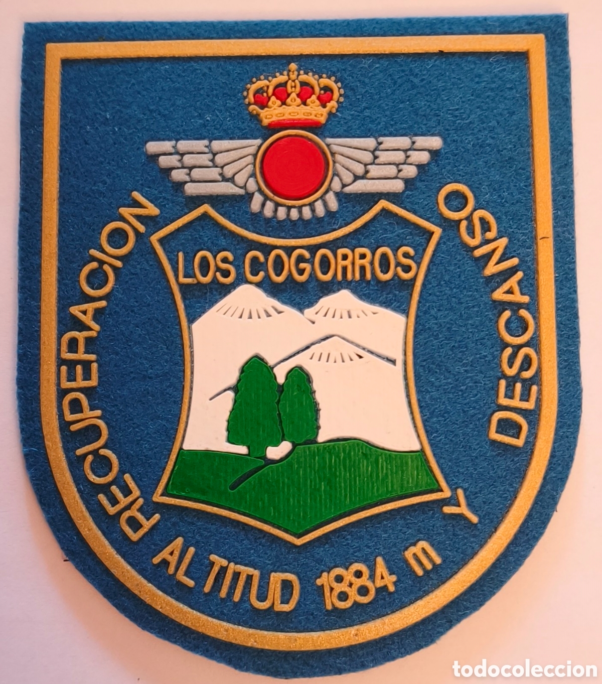 Militaria: PARCHE EMBLEMA DE BRAZO INYECTADO A COLOR CON VELCRO RESIDENCIA LOS COGORROS E. DEL AIRE