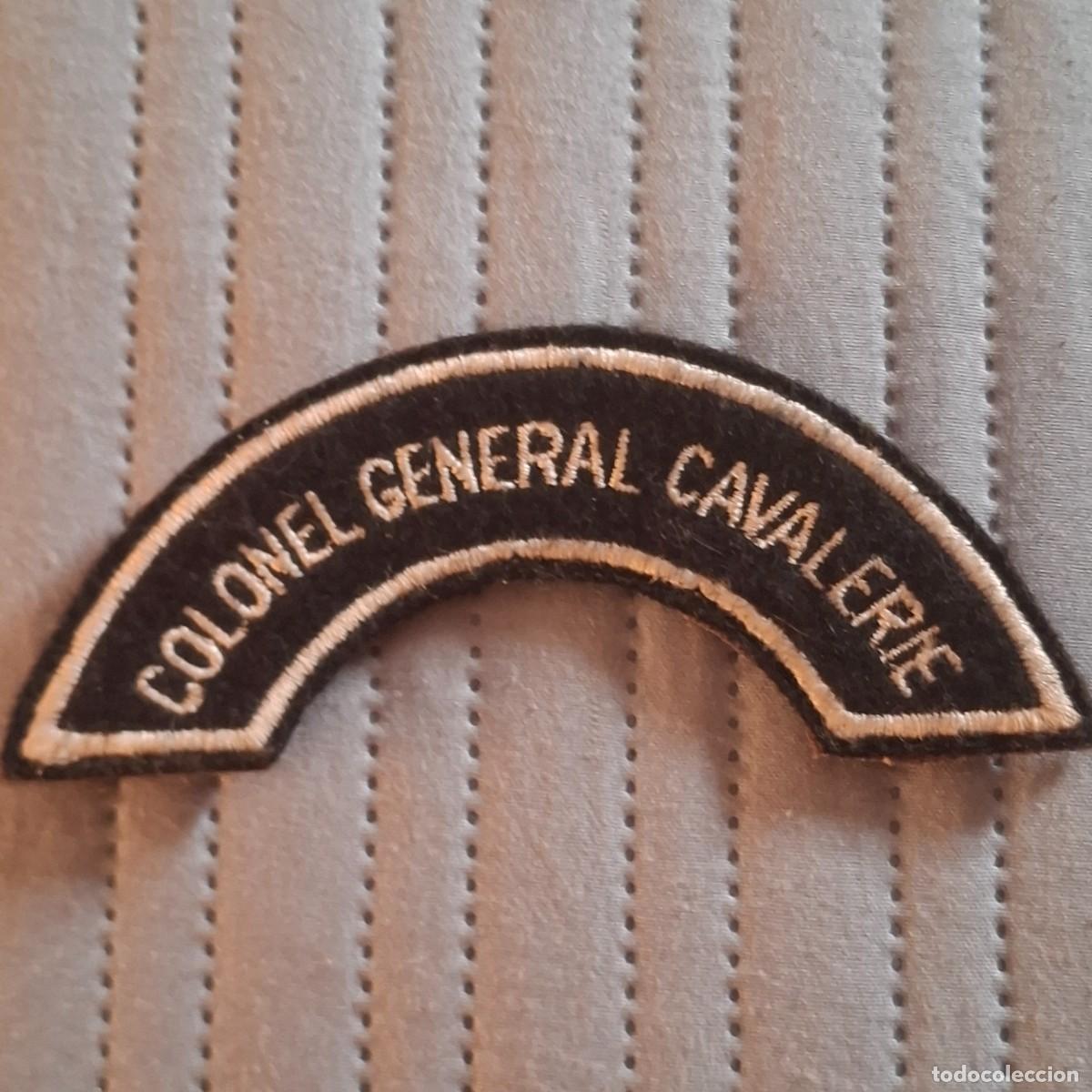 Militaria: Galon / parche CORONEL GENERAL DE CABALLERIA. Ej&eacute;rcito Franc&eacute;s. Muy escaso