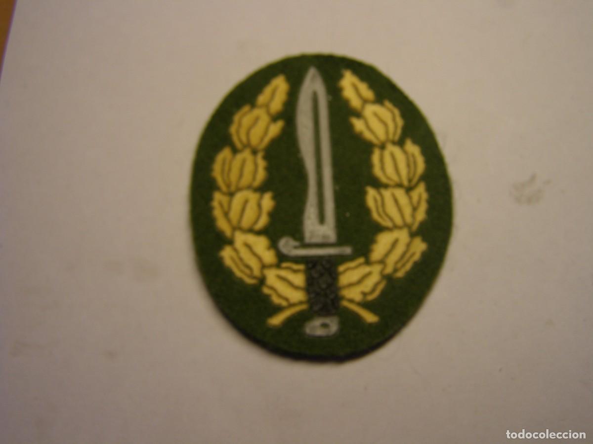 Militaria: Parche de BOINA de las COES.