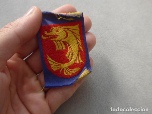 Militaria: Antiguo parche original de los Boy Scouts de Francia