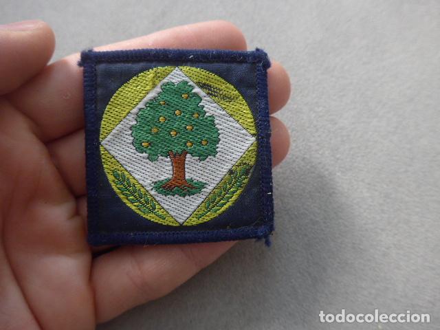 Militaria: Antiguo parche original de los Boy Scouts a identificar