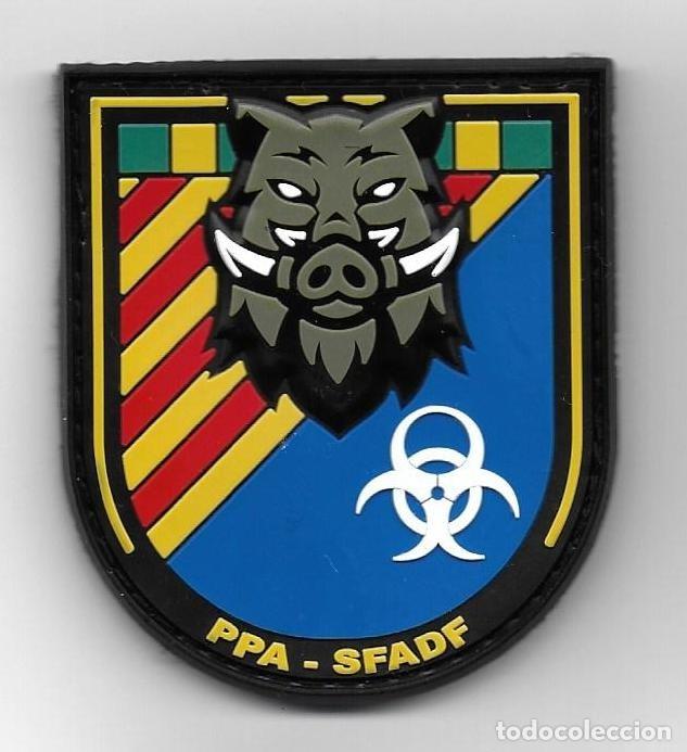 Militaria: parche Agrupacions de Defensa Forestal control peste porcina