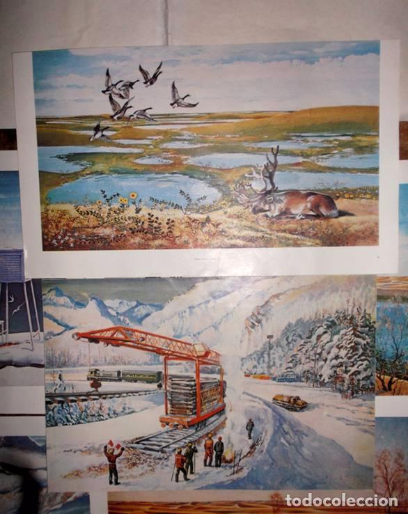 Militaria: Lote 16 carteles sovieticos .URSS - Foto 5