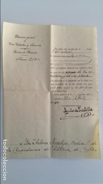 Militaria: AUTORIZACION PARA EXTRAER CABALLOS PARA EL SERVICIO. DIR GEN CRIA CABALLAR Y REMONTA. 1910