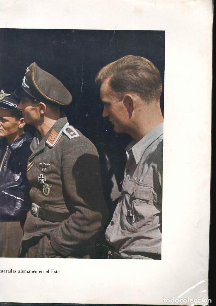 Militaria: II GUERRA MUNDIA POSTER AVIADORES RUMANOS  DIVISION AZUL.