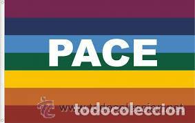 Militaria: bandera de la paz - Foto 1