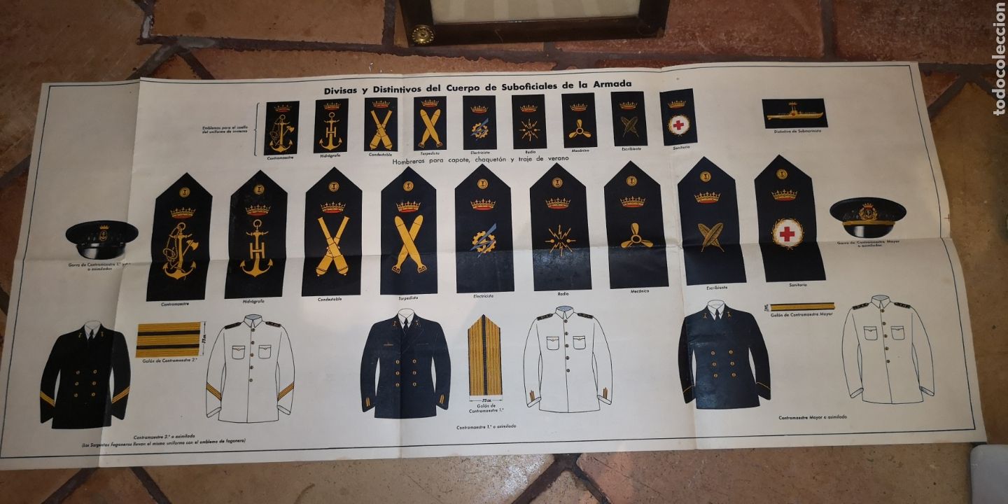 Militaria: Gran p&oacute;ster de divisas y distintivos de los cuerpos de seguridad sociales de la Armada 1941