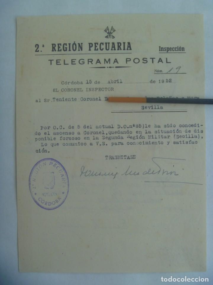 Militaria: CABALLERIA - 2&ordf; REGION PECUARIA : TELEGRAMA POSTAL CON ASCENSO A CORONEL. CORDOBA, 1952 - SEVILLA