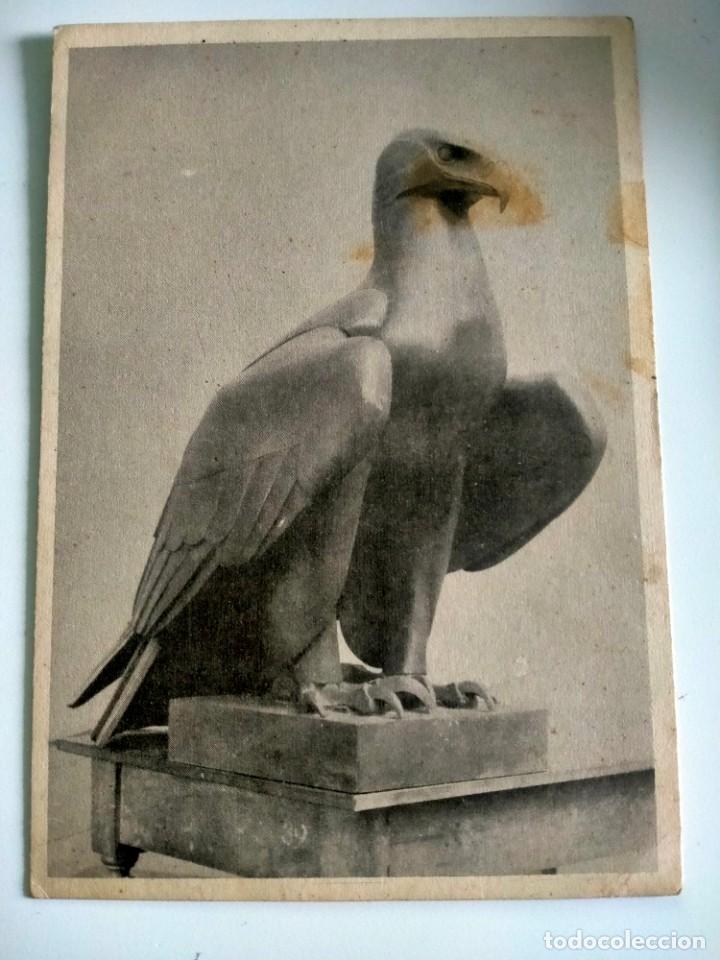 Military Antiques: TARJETA POSTAL AGUILA, KRIEGER WILHELM