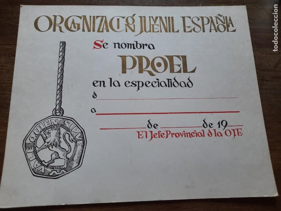 Militaria: Diploma OJE Proel - Foto 1