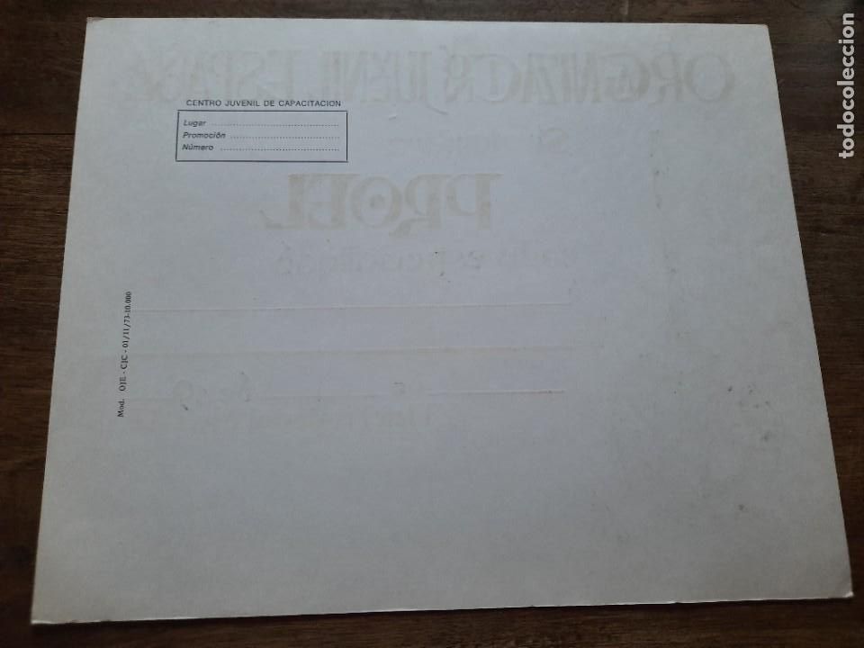 Militaria: Diploma OJE Proel - Foto 2