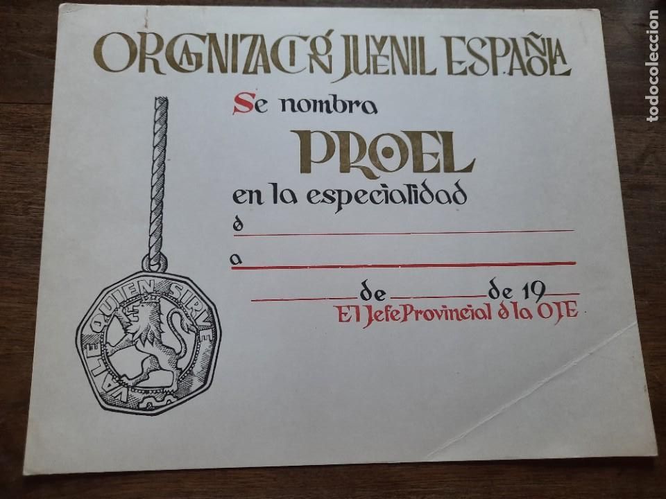 Militaria: Diploma OJE Proel - Foto 1