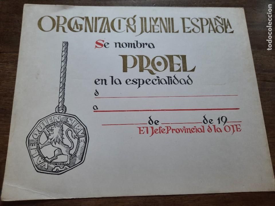 Militaria: Diploma OJE Proel - Foto 1
