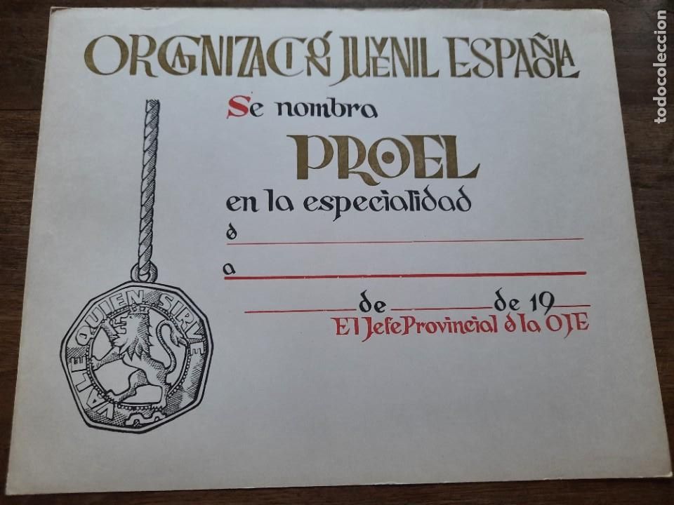 Militaria: Diploma OJE Proel - Foto 1