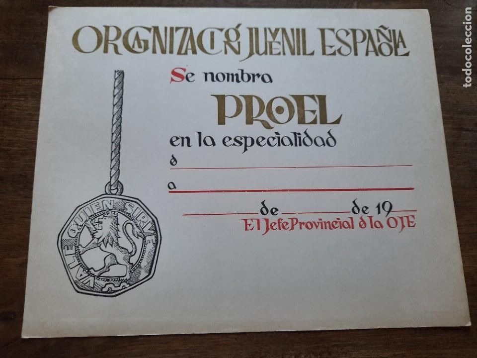 Militaria: Diploma OJE Proel - Foto 1