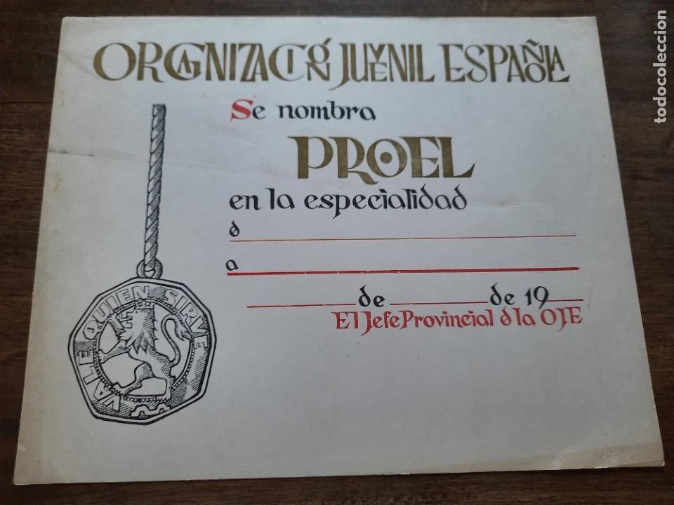 Militaria: Diploma OJE Proel - Foto 1