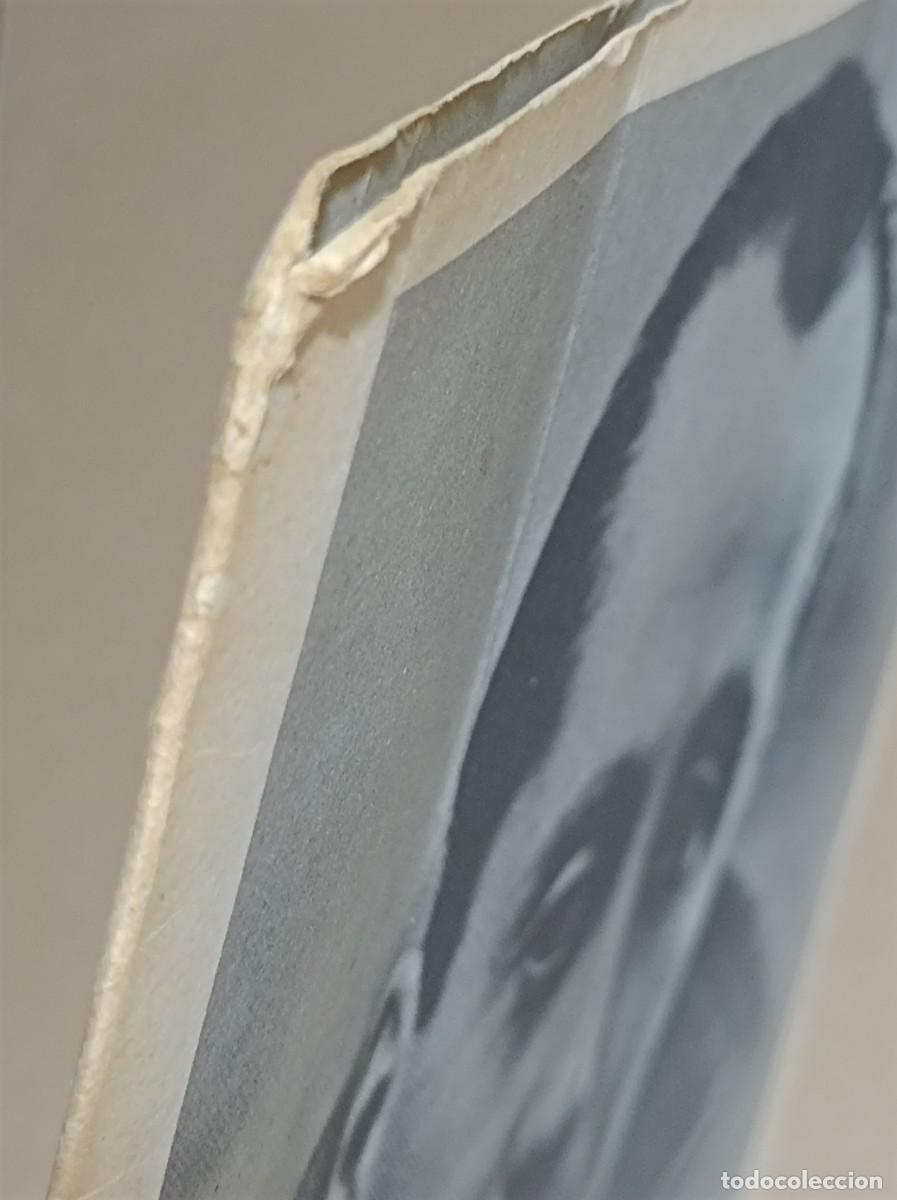 Militaria: TESTAMENTO DE JOS&Eacute; ANTONIO PRIMO DE RIVERA - Foto 9
