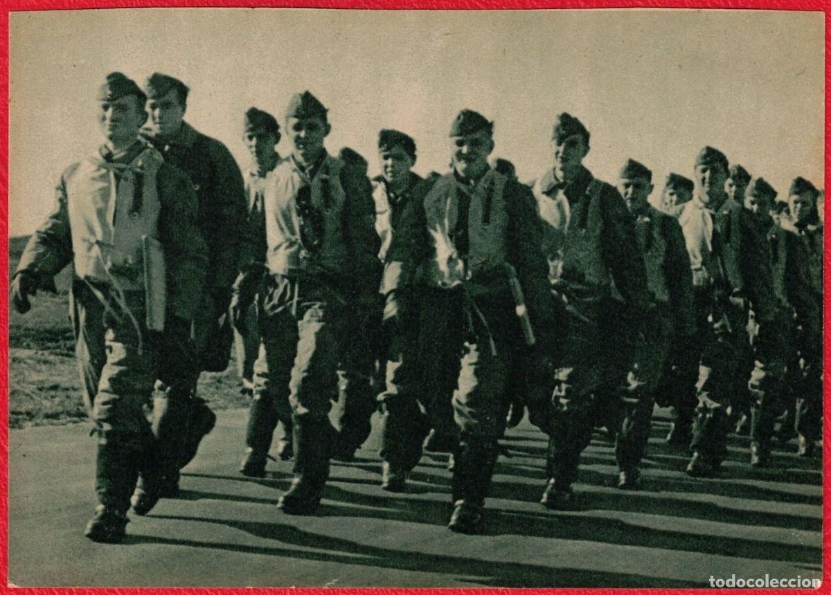 Militaria: Luftwaffe - Fotopostal patriotica original de epoca - III Reich - Der Adler - Deutsches Reich