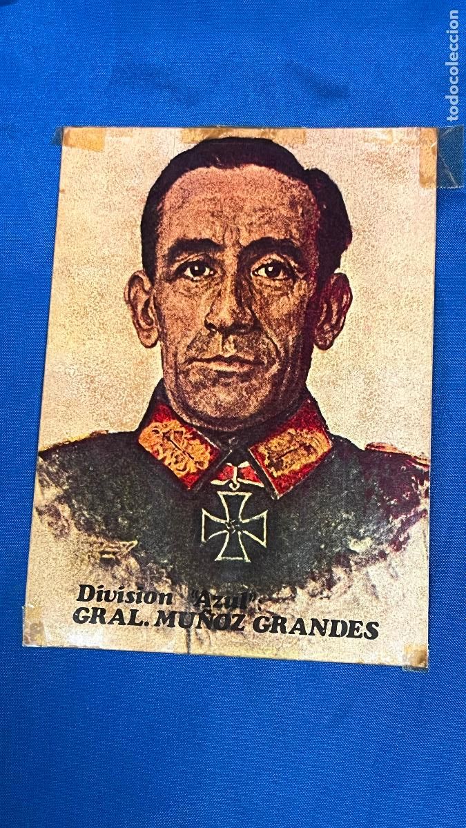 Militaria: PEGATINA DIVISION AZUL MU&Ntilde;OZ GRANDES
