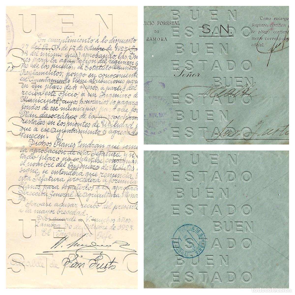 Militaria: CUERPO IGENIEROS DE MONTES ZAMORA SAN JUSTO DE SANABRIA DISTRITO FORESTAL SOBRE Y CARTA 1925 M51