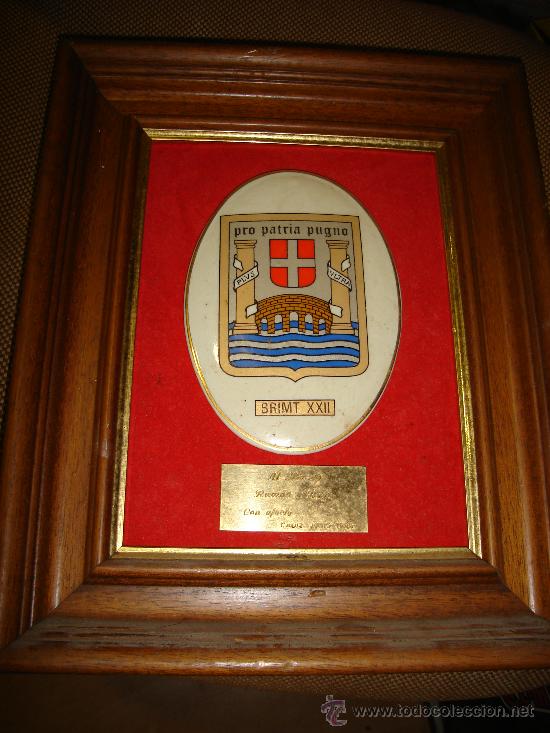 Military Antiques: METOPA PRO PATRIA PUGNO, BRIMT XXII, AL MUSEO RAM&Oacute;N Y BAYO, C&Aacute;DIZ 1990, 28 POR 33CM