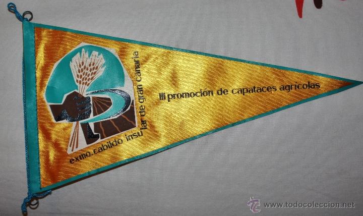 Military Antiques: BANDERIN DE LA 1&ordf; PROMOCION DE CAPATACES AGRICOLA,EXM DIPUTACION DEL CABILDO INSULAR