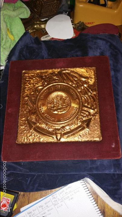 Military Antiques: BONITA METOPA DE COBRE CON FONDO DE TERCIOPELO.