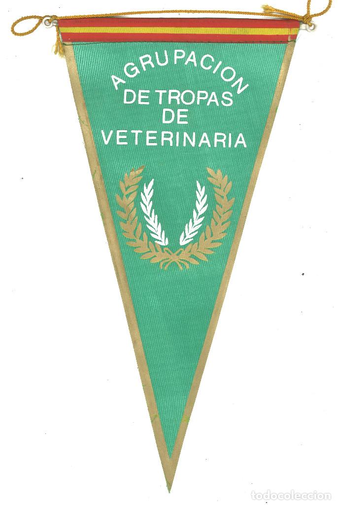 Militaria: Bander&iacute;n Agrupaci&oacute;n de tropas de veterinaria