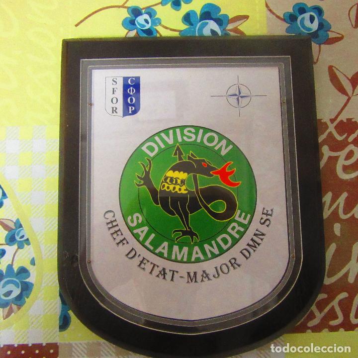 Militaria: Metopa militar, misiones internacionales, divisi&oacute;n salamandre