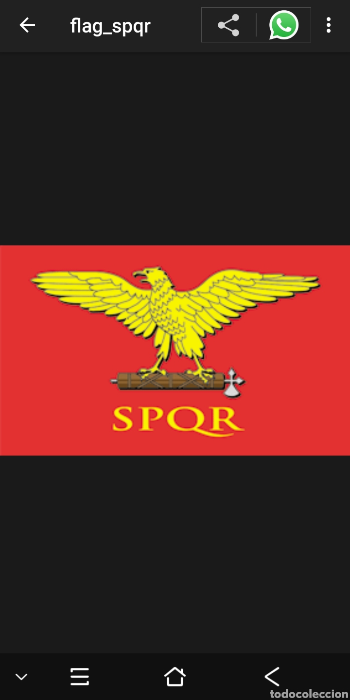 Militaria: Bandera aguila romana SPQR