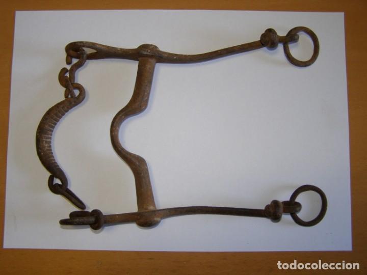 Militaria: Bocado de caballo para montura militar, Guerra Civil Espa&ntilde;ola, procedente de recuperaci&oacute;n.