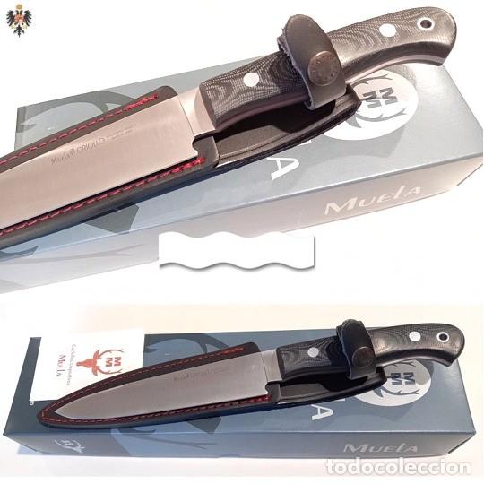 Military Antiques: CUCHILLO CRIOLLO MUELA MONTERIA MANGO MICARTA + FUNDA CAJA