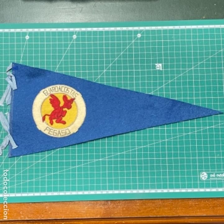Militaria: Bander&iacute;n de la Armada Espa&ntilde;ola guardacostas Pegaso
