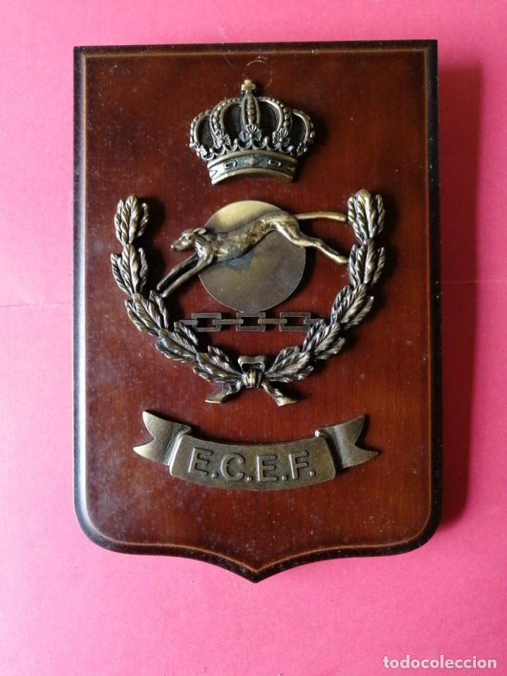 Militaria: Metopa E. C. E. F.
