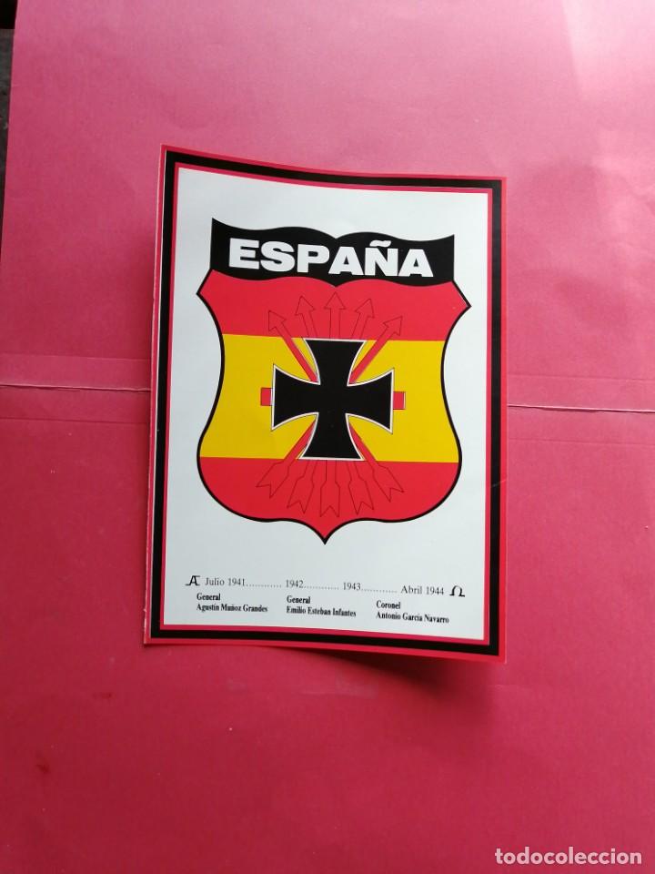 Militaria: Divisi&oacute;n Azul